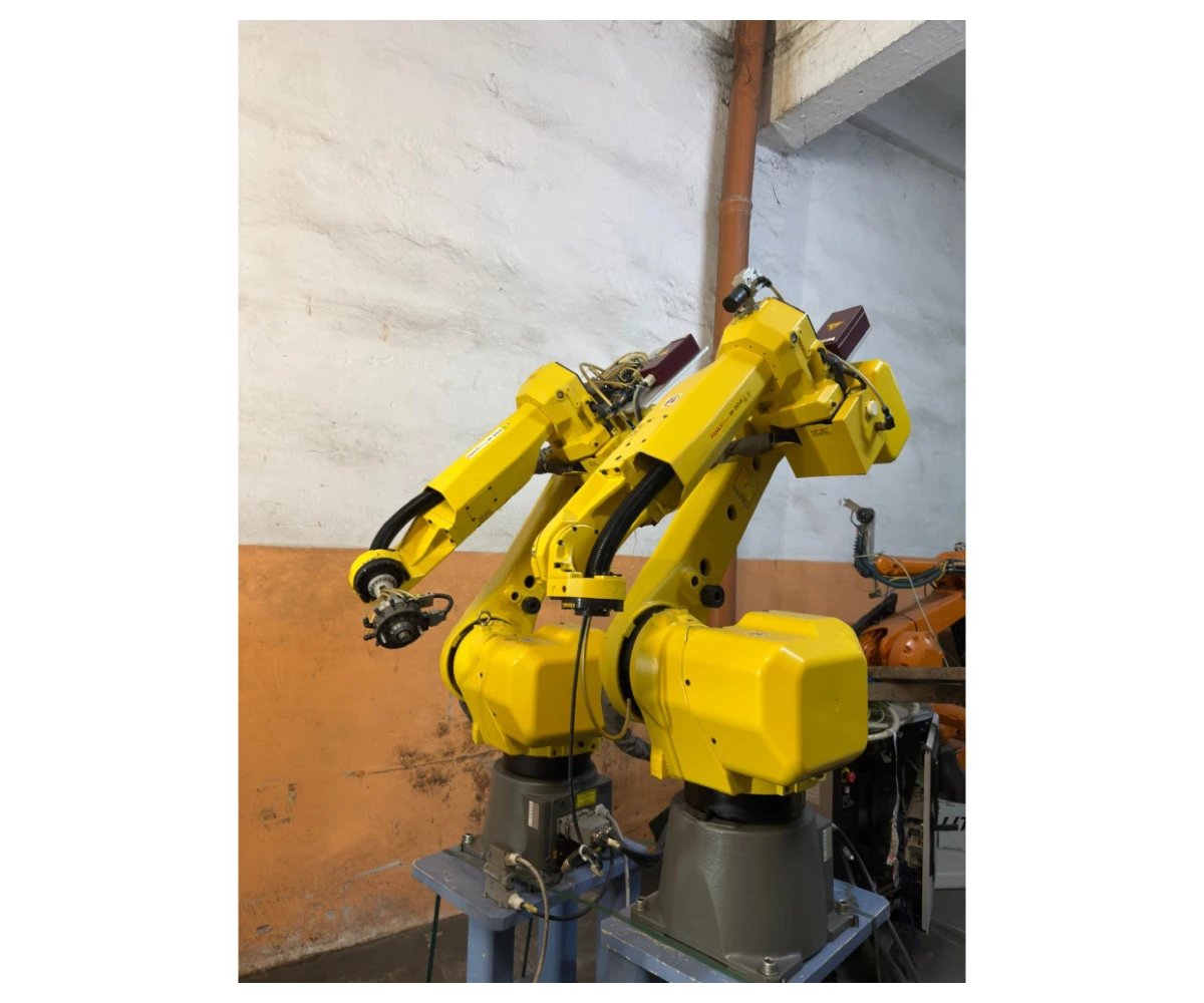 Set bestehend aus zwei Fanuc M-20iA Robotern