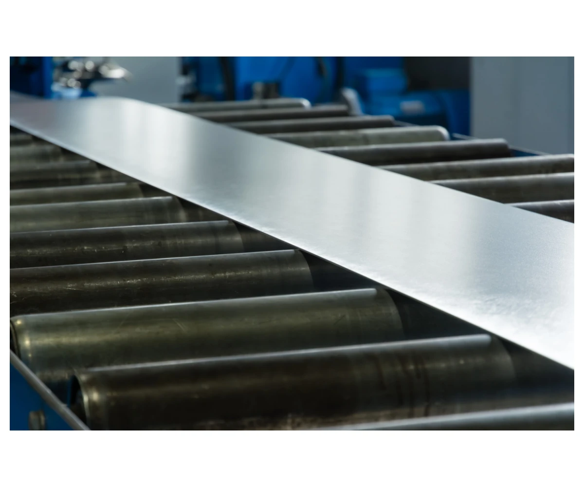 69b1661084880__DSC0099