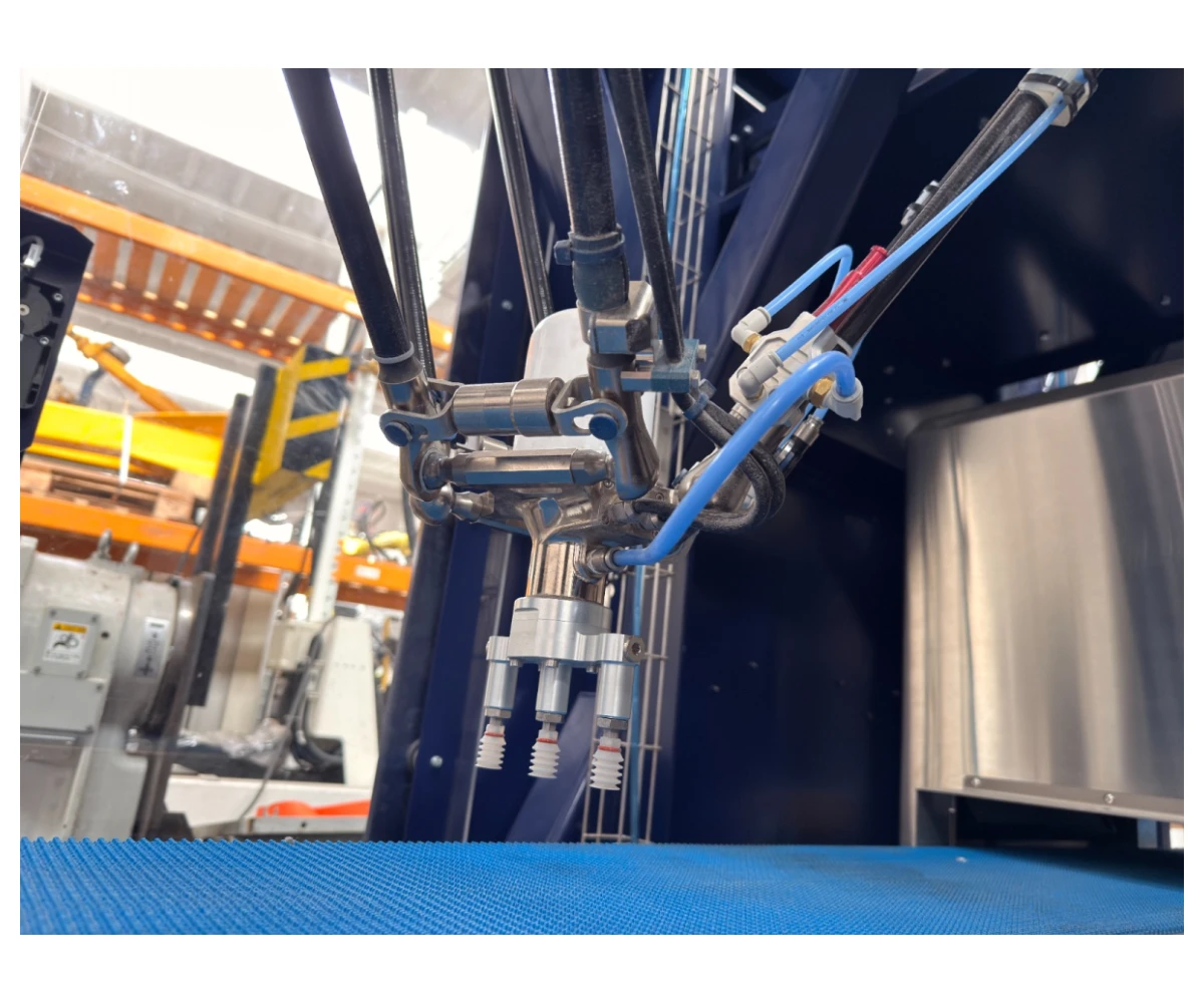 69ce38149415f_cbdb648b-9ff6-4ea8-a241-c9c72af3250d